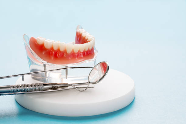 Best Full Mouth Reconstruction  in Miami Gardens, FL